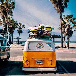 Meet your Posher, Hunter